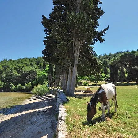 Holiday home 6 Bedroom Luxurious In